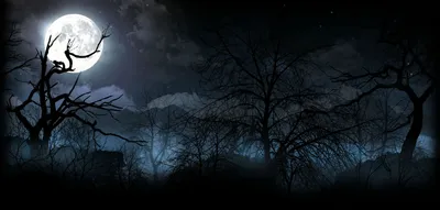 Dark Night Moonlit Black/Dark Wallpaper 4K 1883x900 Dark, Night, Hd, Pc, Desktop, Wallpaper/background:, Showing, A, Moonlit, Misty, Forest, Silhouette, Brown, Ultrawide
