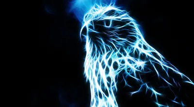 Glowing Blue Neon Falcon Black/Dark Wallpaper 4K 1917x1053 Hd, Desktop, Wallpaper, Featuring, A, Glowing, Blue, Neon, Falcon, Against, Dark, White, Ultrawide