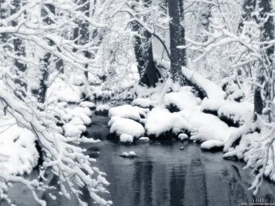 Tranquil Winter Snow Covered Nature Wallpaper 4K 1600x1200 Hd, Desktop, Wallpaper, Of, A, Tranquil, Winter, Scene, Snow-covered, Forest, Calm, Stream, White, Landscape