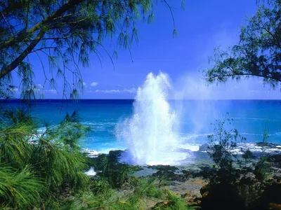 Vivid Spectacular Wallpaper Nature Wallpaper 4K 1600x1200 Hd, Desktop, Wallpaper, Featuring, A, Spectacular, Geyser, Erupting, Near, Serene, Blue, Ocean, Pink, Landscape
