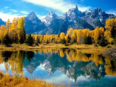 Vibrant Autumn Scenery Serene Nature Wallpaper 4K 1600x1200 Vibrant, Autumn, Scenery, Featuring, A, Serene, Lake, Surrounded, Golden, Trees, Majestic, Snow-capped, White, Landscape