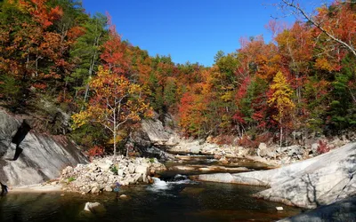 Bold Vibrant Wallpaper Nature Wallpaper 4K 1920x1200 Vibrant, Fall, Foliage, Reflects, On, A, Serene, River, Surrounded, Rocky, Banks, Clear, Green, Pink, Yellow, Ultrawide, Full HD