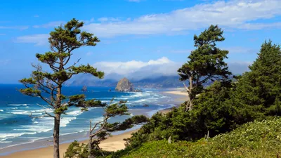 Bright Seascape Wallpaper Nature Wallpaper 4K 3840x2160 A, Stunning, Seascape, Featuring, Lush, Trees, Overlooking, Sandy, Beach, Gentle, Waves, Distant, Yellow, Pink, Ultrawide, 4k