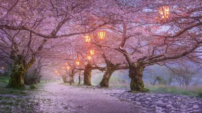 Dreamy General Wallpaper Abstract Wallpaper 4K 1920x1080 Wallpaper, General, 1920x1080, Gray, Ultrawide, Full HD