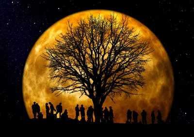 Bold Artistic Wallpaper Space Wallpaper 4K 3508x2480 Artistic, 2k, Quad, Hd, Desktop, Wallpaper, Silhouetted, People, Bare, Tree, Framed, Giant, Brown, Landscape, QHD