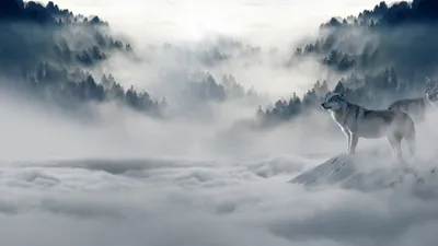 Moody General Wallpaper Abstract Wallpaper 4K 2048x1152 Wallpaper, General, 2048x1152, Gray, White, Ultrawide, Full HD