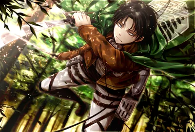 Misty Dynamic Wallpaper Nature Wallpaper 4K 1600x1086 A, Dynamic, Hd, Wallpaper, Featuring, Levi, Ackerman, From, Attack, Titan, Poised, Action, White, Landscape