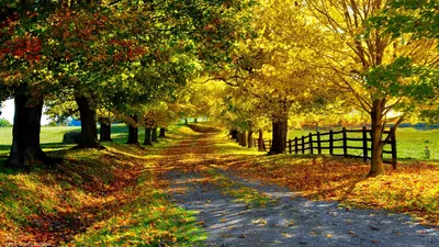 Nature Nature Wallpaper 4K, Nature category