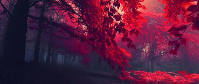 General 2560x1080 Abstract Abstract Wallpaper 4K 2560x1080 Wallpaper, General, 2560x1080, Black, Ultrawide, QHD