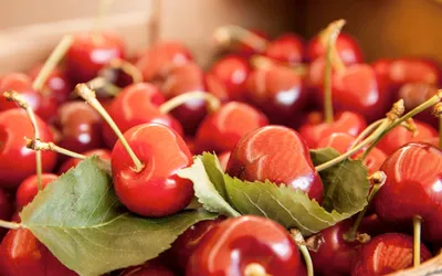 Crisp Close Wallpaper Nature Wallpaper 4K 1920x1200 Hd, Desktop, Wallpaper, Featuring, A, Close-up, Of, Fresh, Ripe, Cherries, Green, Leaves, Orange, Ultrawide, Full HD