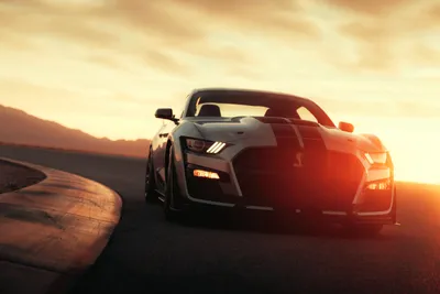 Sleek Silver Wallpaper Cars Wallpaper 4K 7952x5304 Silver, Ford, Mustang, Shelby, Gt500, Muscle, Car, On, Winding, Road, Sunset, Dramatic, White, Landscape, 4k