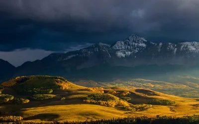 Vibrant Fall Foliage Rolling Wallpaper 4K, Nature category