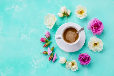 Still Life Flower Cup Food Nature Wallpaper 4K 6240x4160 Still, Life, Flower, Cup, Food, Coffee, Hd, Desktop, Gray, Landscape, 4k