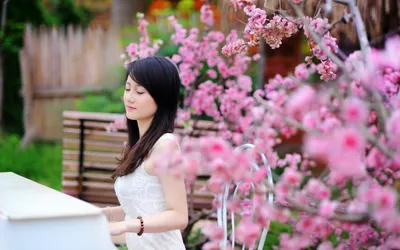 Bright Woman Wallpaper Abstract Wallpaper 4K 2560x1600 Hd, Desktop, Wallpaper, Featuring, A, Woman, Next, To, Blooming, Pink, Cherry, Blossoms, White, Gray, Ultrawide, QHD