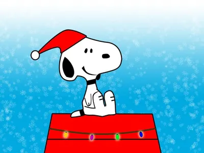Snoopy Peanuts Wearing Santa Hat Animals Wallpaper 4K 1440x1080 Hd, Desktop, Wallpaper, Featuring, Snoopy, From, Peanuts, Wearing, Santa, Hat, Sitting, Decorated, White, Red, Pink, Landscape