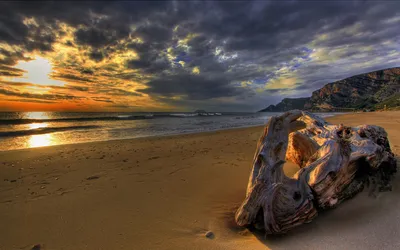 Serene Beach Driftwood Sand Vibrant Nature Wallpaper 4K 1920x1200 A, Serene, Beach, Scene, Featuring, Driftwood, On, The, Sand, Vibrant, Sunset, Casting, Gray, Ultrawide, Full HD