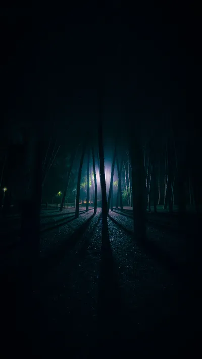 Light Forest Dark Black/Dark Wallpaper 4K 2367x4208 Gray