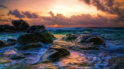 Vibrant Captures Wallpaper Wallpaper 4K, Nature category