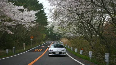 Dreamy Car Wallpaper Cars Wallpaper 4K 1920x1080 Hd, Pc, Desktop, Wallpaper, Featuring, A, Car, Driving, Scenic, Road, Lined, Blooming, Gray, White, Ultrawide, Full HD