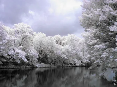 Crisp Snow Wallpaper Nature Wallpaper 4K 2848x2136 Snow-laden, Trees, Reflected, In, A, Calm, River, Under, Cloudy, Sky, Winter, Nature, White, Landscape, QHD