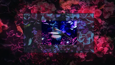 General 1920x1080 Abstract Abstract Wallpaper 4K 1920x1080 Wallpaper, General, 1920x1080, Brown, Ultrawide, Full HD