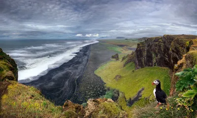 Scenic Ocean Puffin Standing Grassy Nature Wallpaper 4K 1920x1159 Hd, Desktop, Wallpaper, Of, A, Scenic, Ocean, View, Puffin, Standing, Grassy, Cliffs, Gray, Ultrawide, Full HD