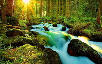 Epic Sunshine Wallpaper Nature Wallpaper 4K 1680x1050 Sunshine!!, Filters, Through, A, Lush, Green, Forest, Over, Flowing, Waterfall, Stream, Captured, Brown, Gray, Ultrawide