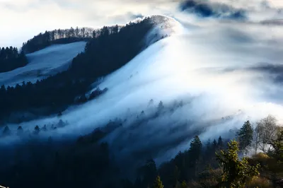 Winter Landscape Mist Nature Wallpaper 4K 1920x1276 Hd, Wallpaper, Of, A, Winter, Landscape, Featuring, Mist-covered, Forest, Mountain, Shrouded, Fog, White, Ultrawide, Full HD