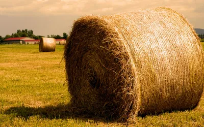 Close Large Haystack Sunlit Nature Wallpaper 4K 1600x999 Hd, Pc, Desktop, Wallpaper, Showing, A, Close-up, Of, Large, Haystack, Sunlit, Field, Gray, Pink, Ultrawide