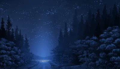 Anime Serene Forest Night Nature Wallpaper 4K 1920x1108 Hd, Anime, Wallpaper, Featuring, A, Serene, Forest, At, Night, Under, Starry, Sky, Brown, Ultrawide, Full HD