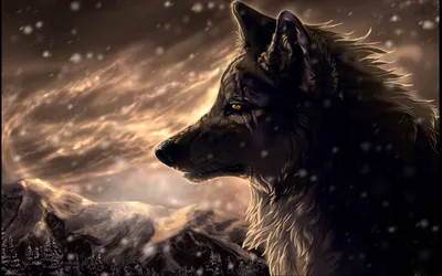Crisp Majestic Wallpaper Nature Wallpaper 4K 1920x1200 A, Majestic, Wolf, Gazes, Across, Snowy, Landscape, Set, Against, Dramatic, Sky, Captivating, Gray, Brown, Ultrawide, Full HD