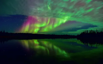 Aurora Borealis Reflecting Nature Wallpaper 4K 1920x1200 Hd, Wallpaper, Of, The, Aurora, Borealis, Reflecting, In, Tranquil, Lake, Surrounded, Forest, Brown, Ultrawide, Full HD