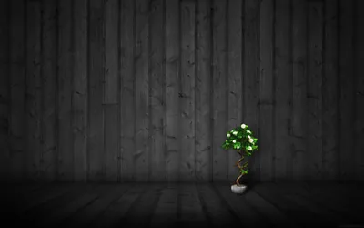 Dark Theme Cave Wallpaper 4K, Black/Dark category