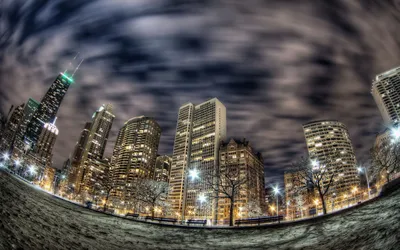 Calm City Wallpaper Wallpaper 4K, Animals category