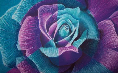 Calm Closeup Wallpaper Abstract Wallpaper 4K 1920x1200 Closeup, Of, An, Ornamental, Cabbage, By, Passionlslife, Gray, Ultrawide, Full HD