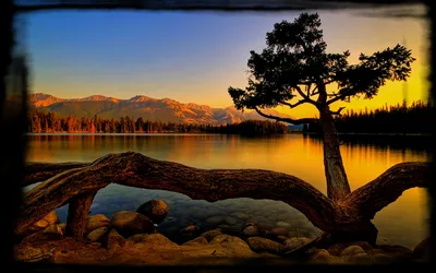 Landscape Serene Lake Solitary Tree Nature Wallpaper 4K 1920x1200 A, Stunning, Landscape, Featuring, Serene, Lake, Solitary, Tree, Majestic, Mountains, Sunset, Serving, Pink, Gray, Ultrawide, Full HD