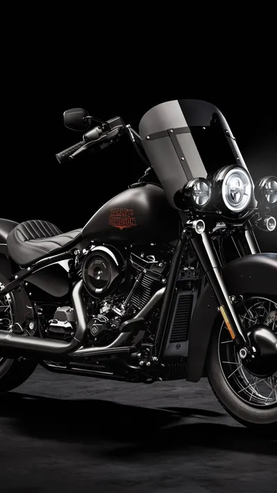 Bold Harley Wallpaper Wallpaper 4K, Black/Dark category
