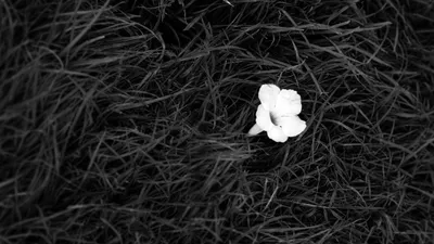 Dark General Wallpaper Abstract Wallpaper 4K 2560x1440 Wallpaper, General, 2560x1440, White, Ultrawide, QHD