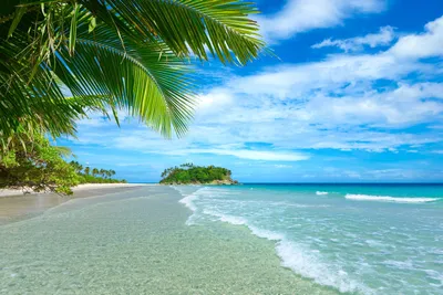 Serene Serene Wallpaper Nature Wallpaper 4K 6000x4000 A, Serene, Tropical, Beach, Scene, Featuring, Turquoise, Sea, Gentle, Waves, Framed, Lush, Gray, Landscape, 4k