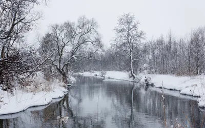 Quad Serene Winter River Nature Wallpaper 4K 2560x1600 2k, Quad, Hd, Pc, Desktop, Wallpaper, Serene, Winter, River, Nature, Scene, Snow-covered, White, Ultrawide, QHD