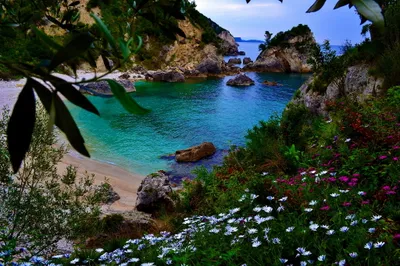 Calm Serene Wallpaper Nature Wallpaper 4K 2048x1366 A, Serene, Coastal, Scene, Featuring, Lush, Greenery, And, Vibrant, Flowers, Tranquil, Turquoise, White, Gray, Pink, Landscape, Full HD