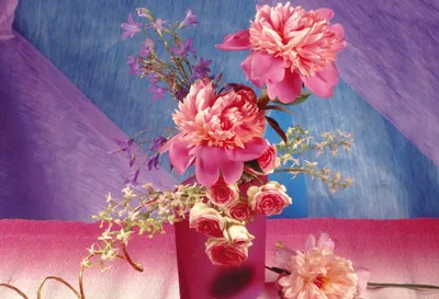 Vibrant Pink Peony Nature Wallpaper 4K 2048x1398 Hd, Desktop, Wallpaper:, Featuring, A, Vibrant, Pink, Peony, Assorted, Flowers, Arranged, Vase, Gray, Landscape, Full HD