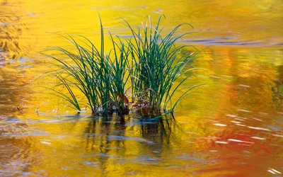 Nature River Nature Nature Wallpaper 4K 1920x1200 Nature, River, Hd, Desktop, Wallpaper, Background, Image, Purple, Yellow, Ultrawide, Full HD