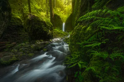Serene Nature Waterfall Nature Wallpaper 4K 2000x1335 Hd, Desktop, Wallpaper, Featuring, A, Serene, Nature, Scene, Waterfall, Streaming, Water, Moss-covered, Brown, Gray, Landscape, Full HD