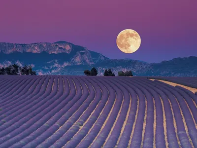 Bright Vibrant Wallpaper Nature Wallpaper 4K 2560x1920 Hd, Desktop, Wallpaper, Featuring, A, Vibrant, Lavender, Field, Under, Full, Moon, Mountains, Gray, Brown, Landscape, QHD