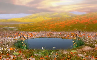 Serene Landscape Tranquil Nature Wallpaper 4K 4000x2494 A, Serene, Landscape, Featuring, Tranquil, Pond, Surrounded, Vibrant, Flowers, Rolling, Hills, Showcasing, Gray, Ultrawide, 4k