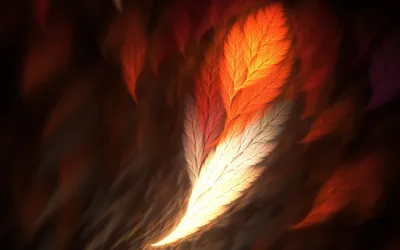 Vivid Abstract Wallpaper Black/Dark Wallpaper 4K 1680x1050 Abstract, Artistic, Design, Of, A, Glowing, Feather, In, Fiery, Orange, Yellow, Hues, White, Ultrawide