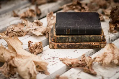 Stack Vintage Books Rests Abstract Wallpaper 4K 2048x1365 A, Stack, Of, Vintage, Books, Rests, On, Weathered, White, Surface, Surrounded, Dry, Ultrawide, Full HD