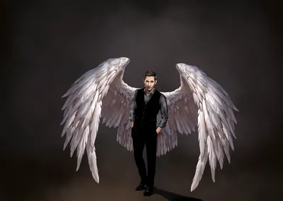 Lucifer Morningstar Show Black/Dark Wallpaper 4K 3139x2225 Hd, Desktop, Wallpaper, Featuring, Lucifer, Morningstar, From, The, Show, Angel, Wings, Set, Black, Brown, Landscape, QHD