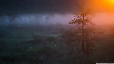 Calm General Wallpaper Abstract Wallpaper 4K 1366x768 Wallpaper, General, 1366x768, Brown, Ultrawide